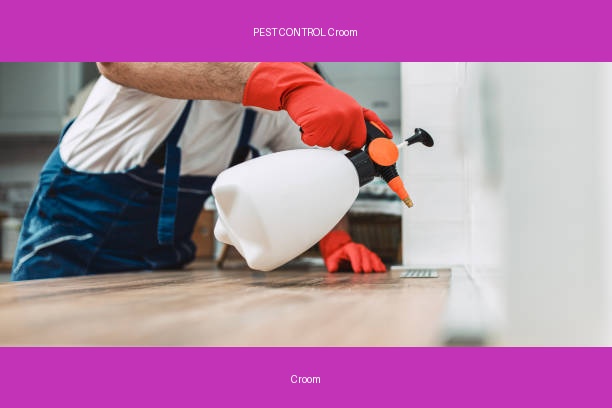 PEST CONTROL Croom